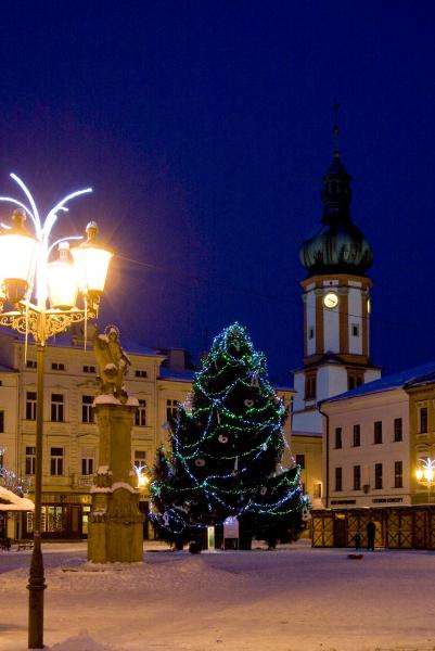 Veřejná sbírka „Vánoční strom“
