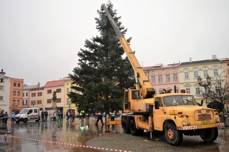 Instalace Vánočních stromů
