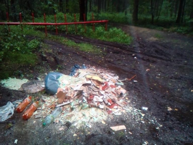 37,12 t odpadu zlikvidováno v měsících květen až prosinec 2016 z černých skládek