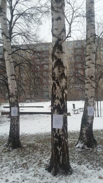 KÁCENÍ DŘEVIN Z DŮVODU GENERÁLNÍ OPRAVY HORKOVODU