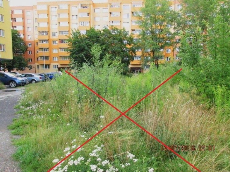 Povinnosti vlastníků veřejné zeleně