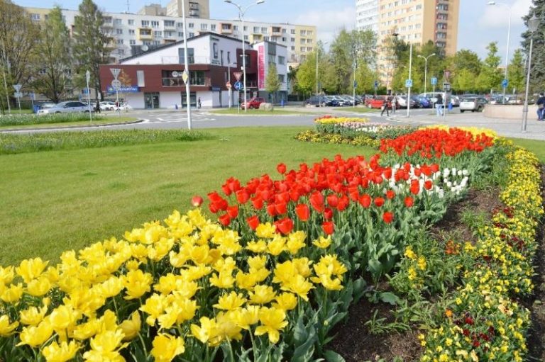 Město rozkvetlo, v létě přibydou i záhony s vyobrazeným logem města
