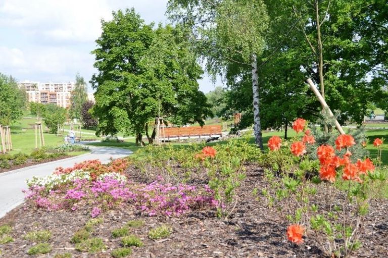 Arboretum láká k návštěvě