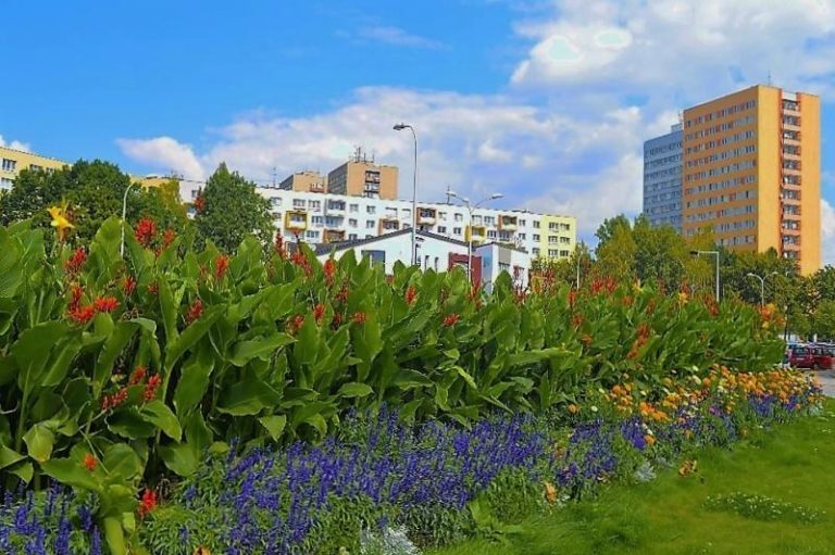 Město zdobí přes 30 tisíc letniček