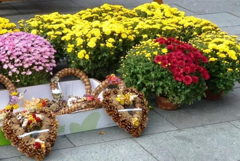 Říjnové farmářské trhy nabídnou dušičkové zboží