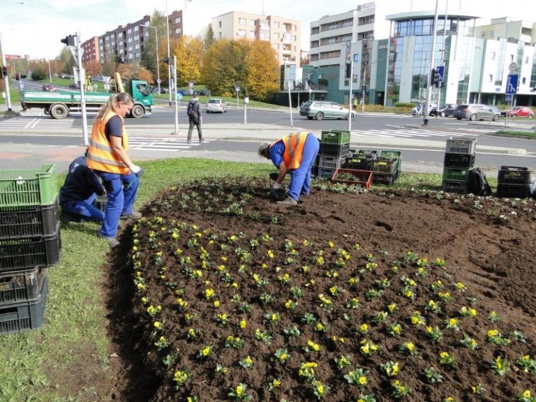 Květinové záhony mění svou tvář
