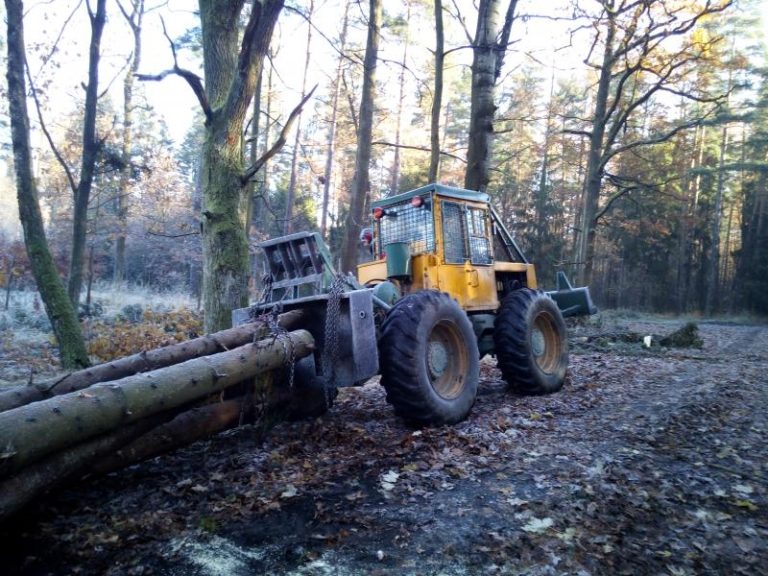 V městských lesích probíhá kalamitní těžba po vichřici Herwart
