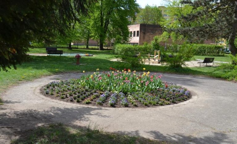 Soutěž o nejhezčí tulipánový záhon měla pokračování