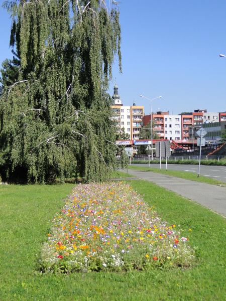 Město bude plné květů