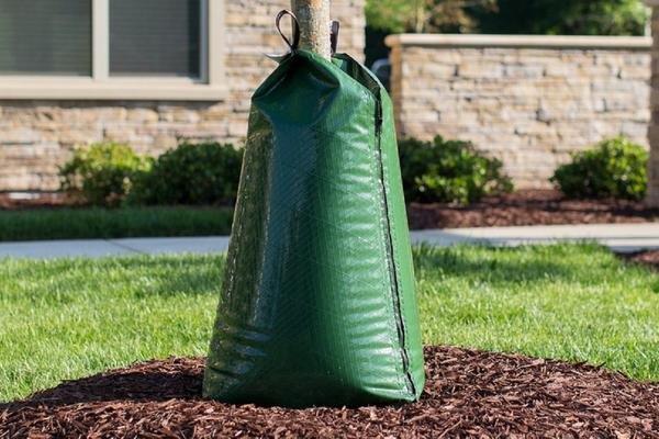 Město otestuje zavlažovací vaky