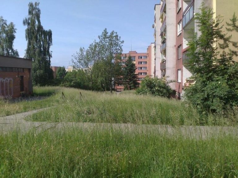 Povinnosti vlastníků veřejné zeleně