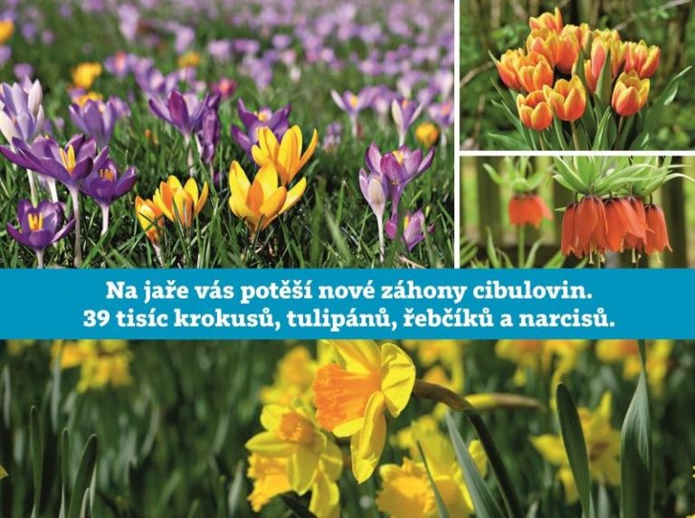 Frýdek-Místek bude na jaře v záplavě květů