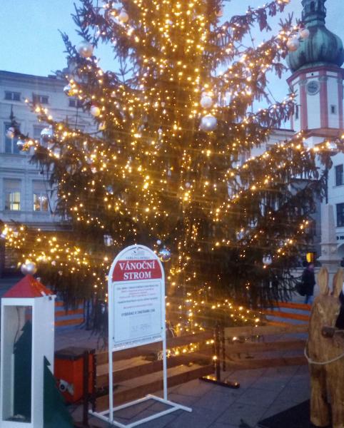 Veřejná sbírka „Vánoční strom“