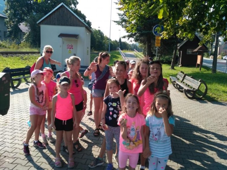 Letošní rok v Sociální asistenci