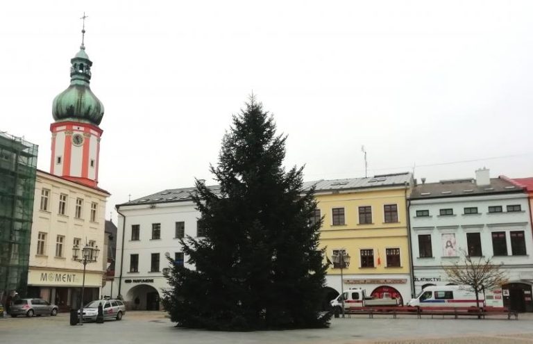 Výběr vánočních stromů začíná již v tomto období