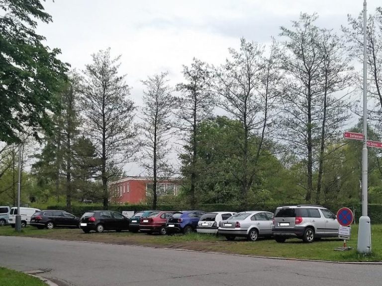 Město otestuje parkovací plochy ze zatravňovacích dlaždic