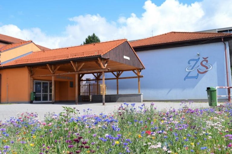 Záhony z výsevu se představují lidem