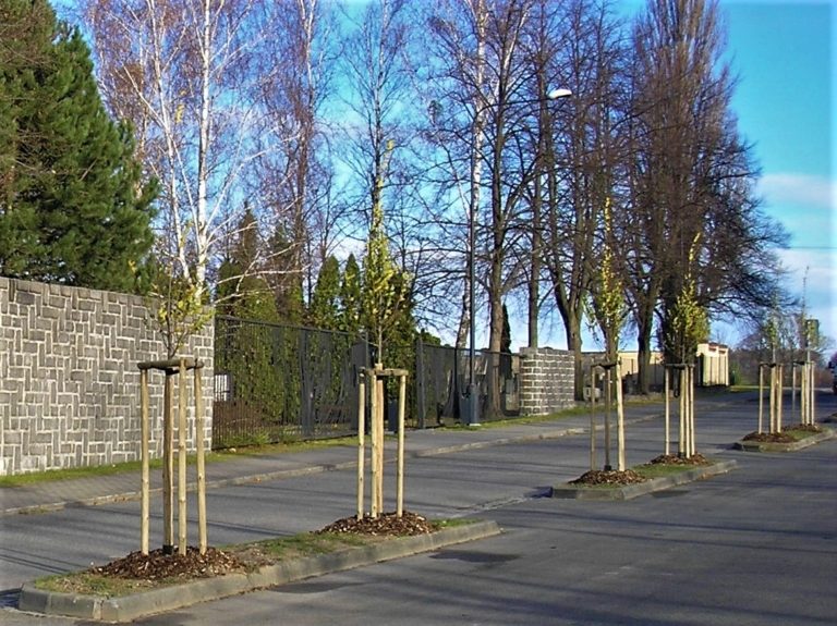 Podzimní výsadba stromů je v plném proudu