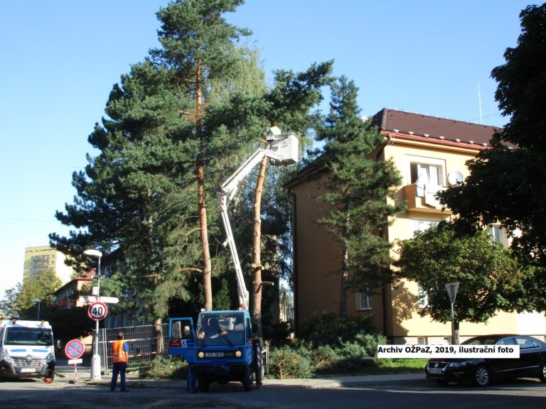 KÁCENÍ DŘEVIN Z DŮVODU ÚDRŽBY OCHRANNÉHO PÁSMA PLYNOVODU