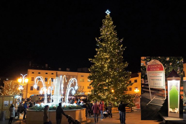Veřejná sbírka „Vánoční strom“