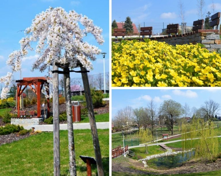 Město otevírá arboretum veřejnosti