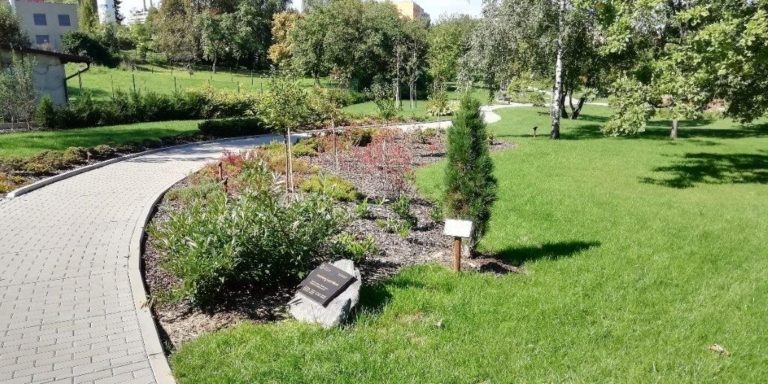 Údržba veřejné zeleně v tomto týdnu