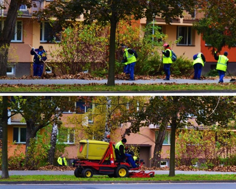 Sběr listí na sídlištích začne tento týden