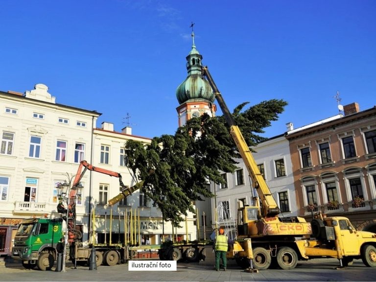 VÁNOČNÍ STROMY DNES OZDOBÍ NÁMĚSTÍ