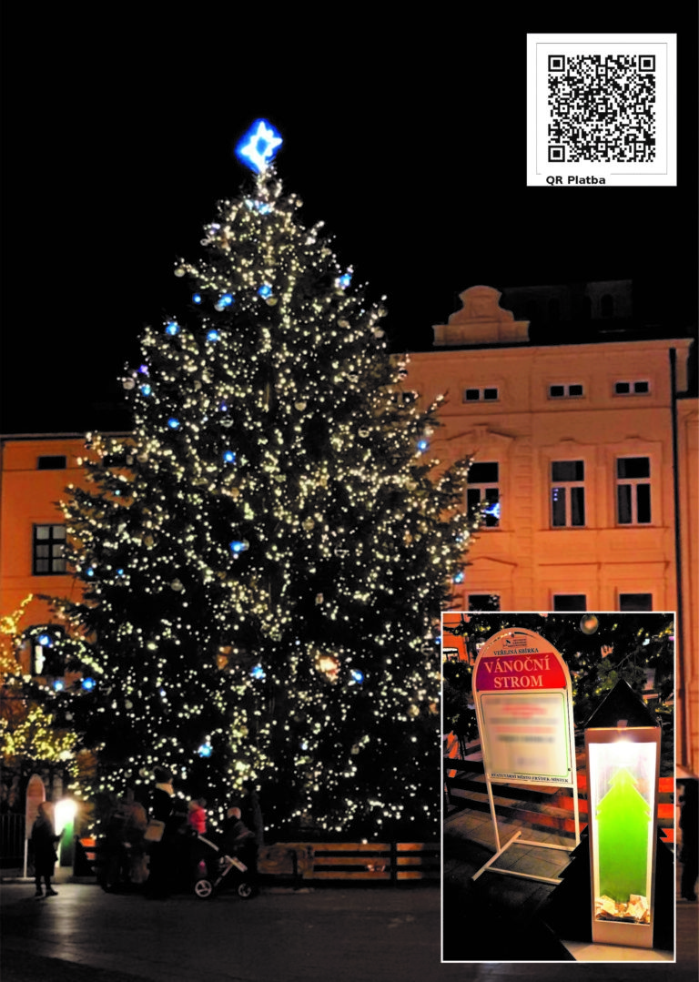 VEŘEJNÁ SBÍRKA „VÁNOČNÍ STROM“