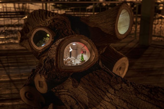 Kultura F≈M: Stromový betlém opět oživil město