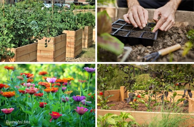 Minizahrádky na sídlišti? Proč ne.