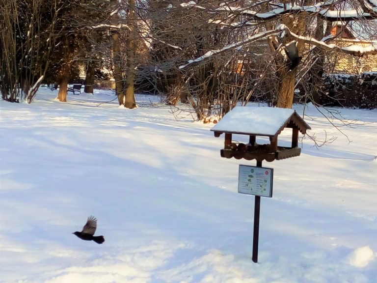 PTAČÍ KRMÍTKA NEJSOU KORÝTKA