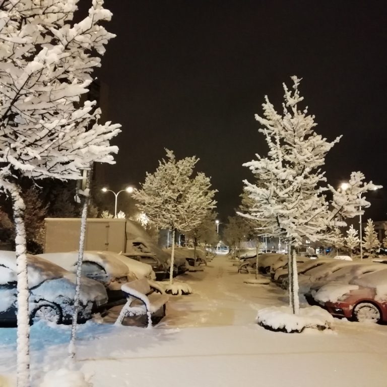 Údržba veřejné zeleně v tomto týdnu