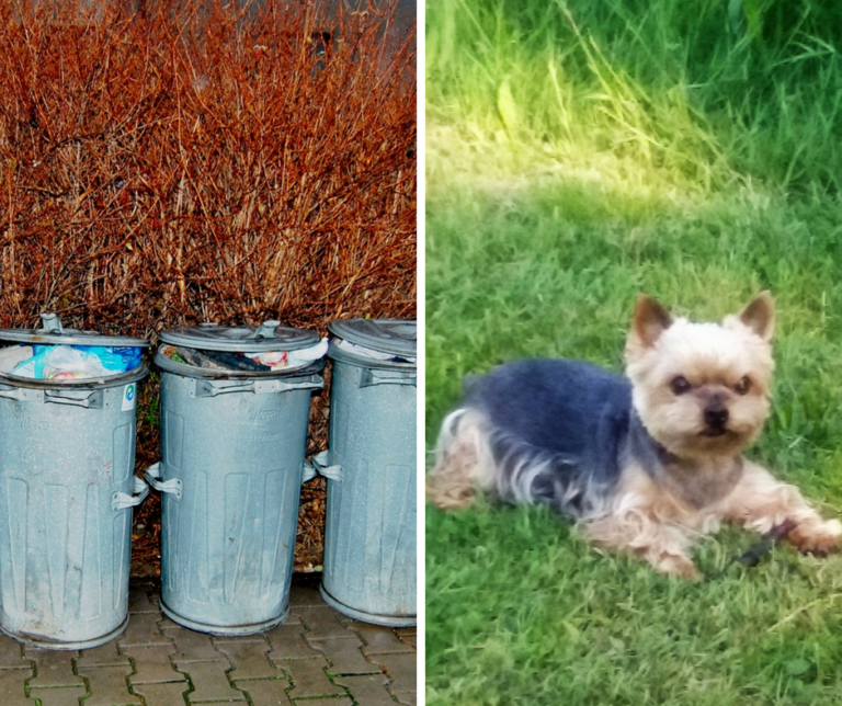 Nedoplatky za poplatky byly navýšeny, máte je uhrazeny?