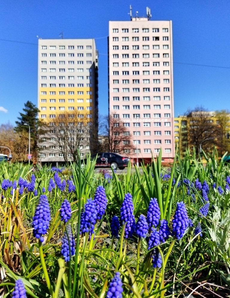 Údržba veřejné zeleně v tomto týdnu
