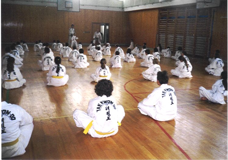 Kroužky a třídy TaeKwon-Do ITF