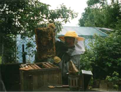 <b>Starostka přivítá malé včelaře</b>