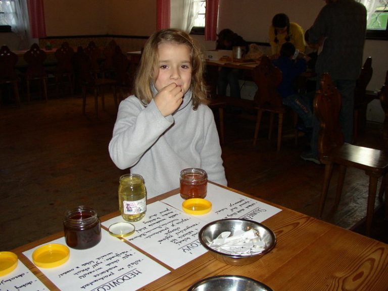 Odpoledne s včelaříky