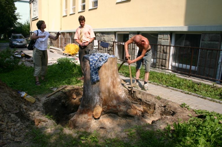 Do rekonstrukcí škol se v roce 2005 investovaly velké částky