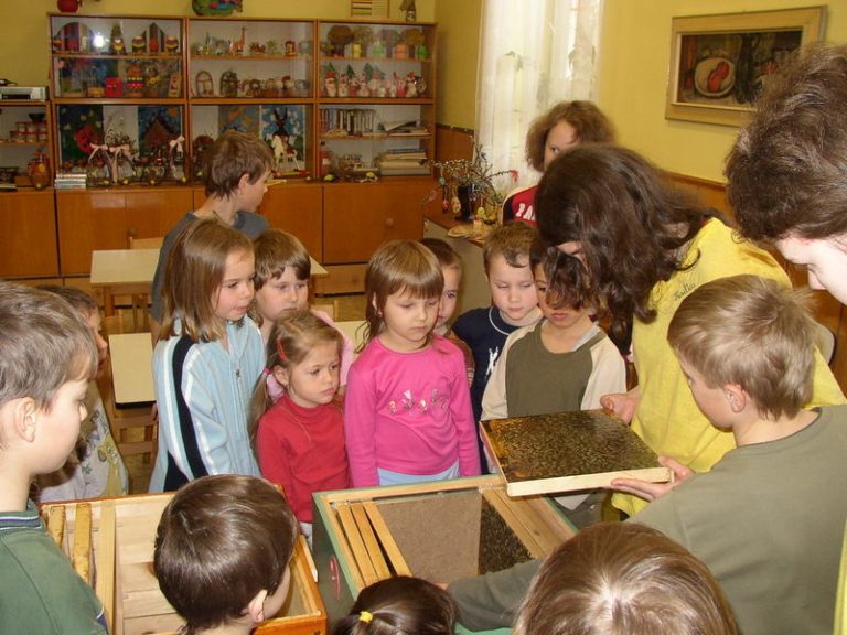 Včelařský kroužek v MŠ Lysůvky