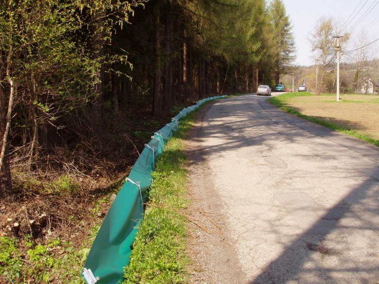 Na Olešné vyrostly nové zábrany pro žáby, ale letos nebyly třeba
