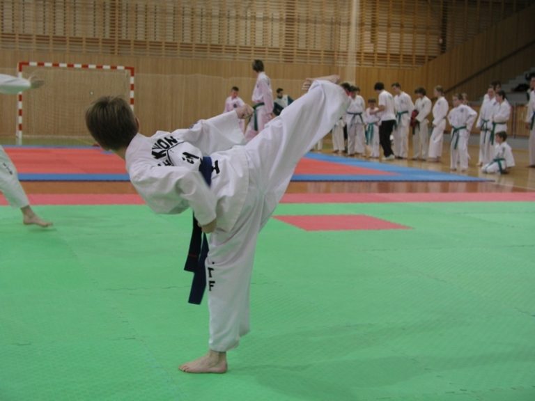 Soutěže TAEKWON-DO ITF ve Frýdku-Místku!