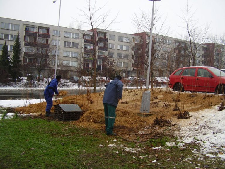 Technické služby nezahálejí