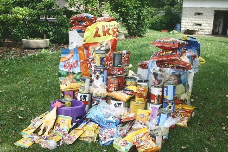 DĚTI Z 1. ZŠ VEZLY DÁRKY PSŮM V ÚTULKU