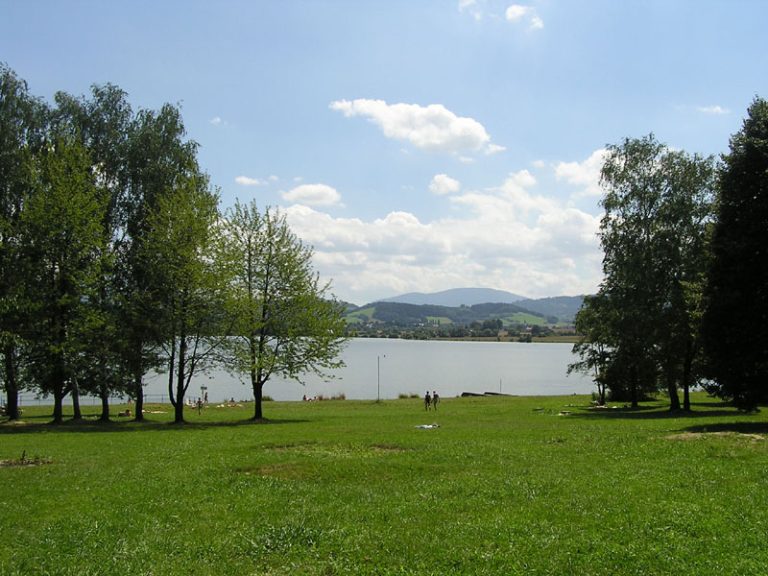 OLEŠNÁ JE BEZ SINIC