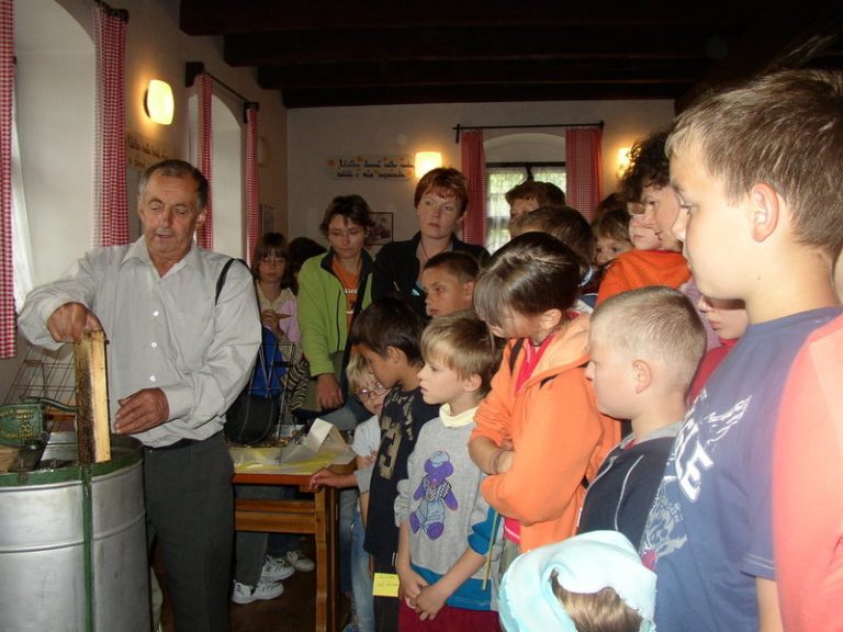 Ve včelím království