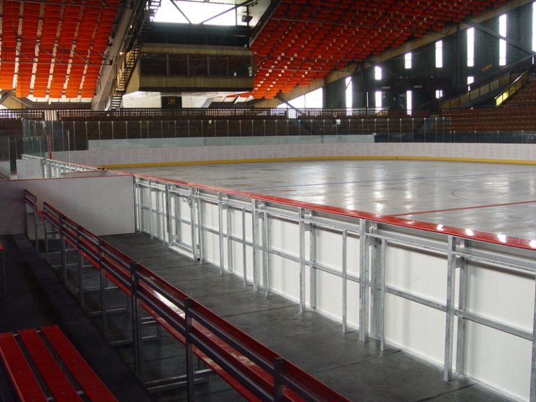 O halu projevil zájem třinecký hokej