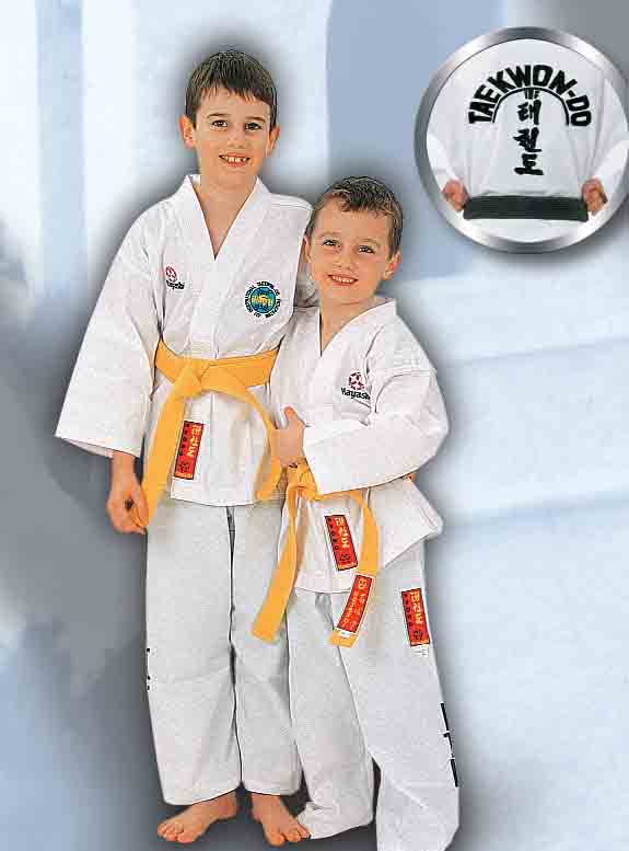 Učím se TaeKwon-Do ITF s Mistry Světa!