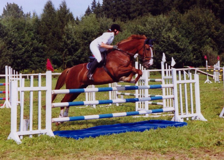 O VÍKENDU VČELAŘSKÝ DEN A BEZRUČŮV POHÁR