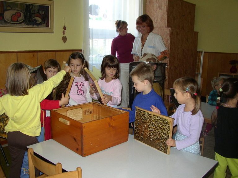 Včelaříci opět mezi nejmenšími